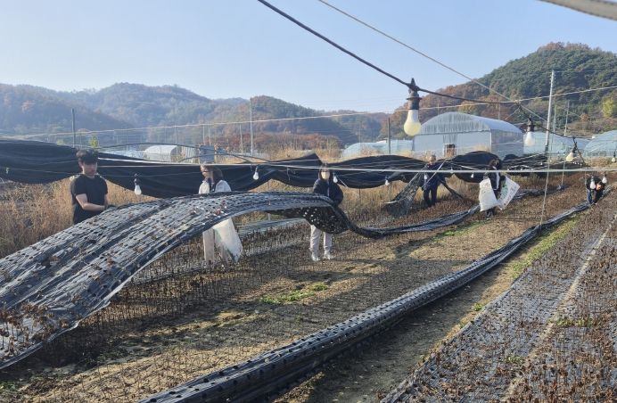 금산군청 재무과 농촌일손돕기 모습
