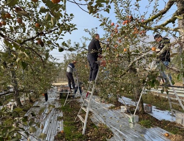 주택관리공단 대구경북지사, 농촌 일손돕기