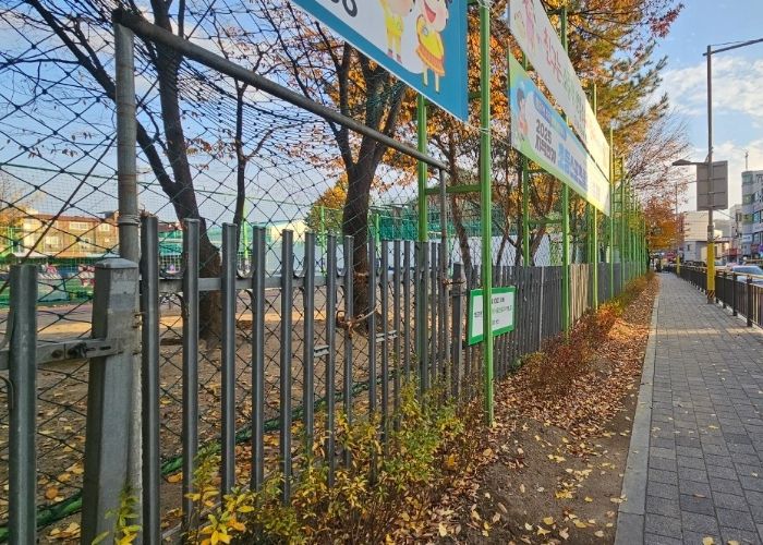 남양주시 진건읍, 진건초 통학로 수목 교체 마무리… 보행 안전·거리 미관 향상