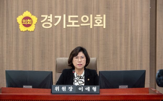 경기도의회 이애형 의원