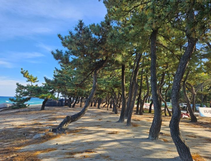 무장애 나눔길 조성