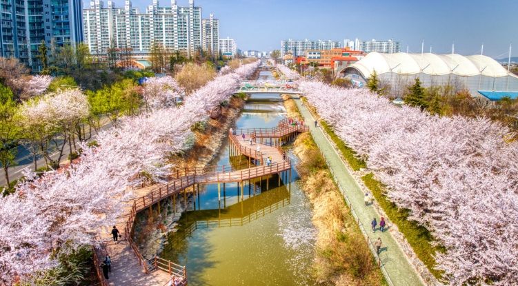서부간선로의 봄