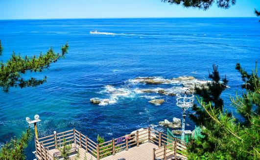 속초시 바다향기로 전경