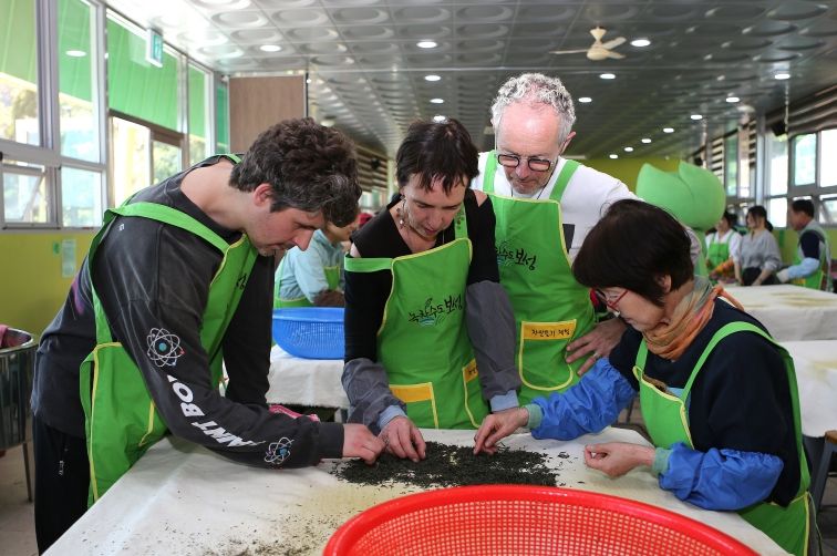 보성군, 한국차박물관 ‘2025년 공립박물관 평가 인증 기관’ 2회 연속 선정_차 만들기 체험을 하고 있다