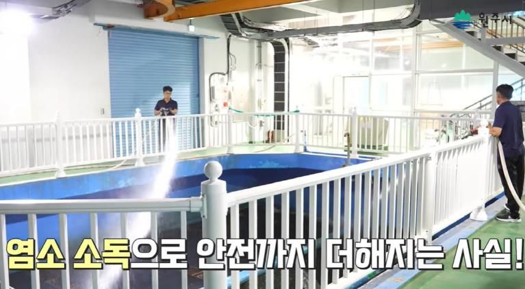 홍보자료(원주시 유튜브 발췌)