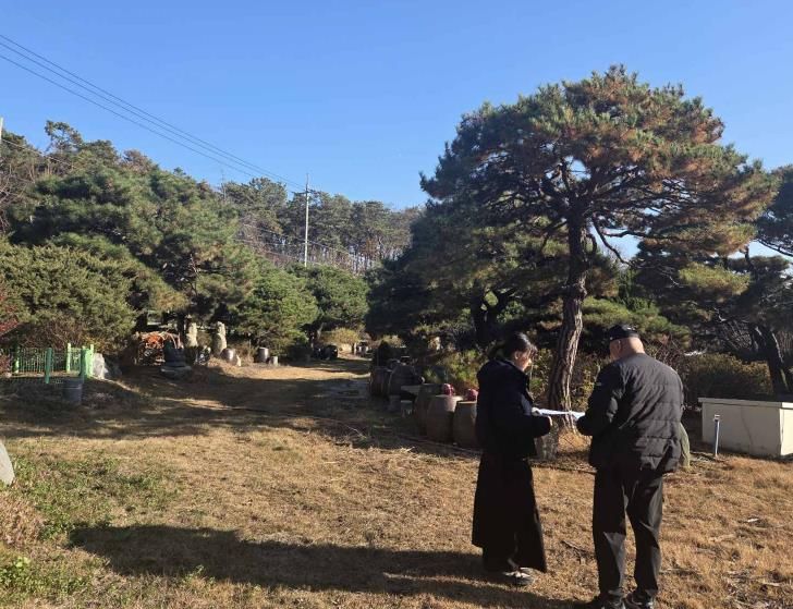 오산시, 소나무재선충병 확산 방지 위해 가을철 소나무류 이동 특별단속 완료