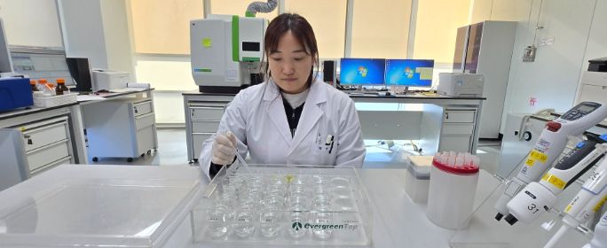 우수논문- 생태독성 확인