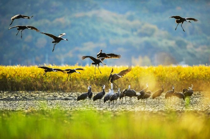 ‘한국 건강 지수’ 호남권 1위 선정