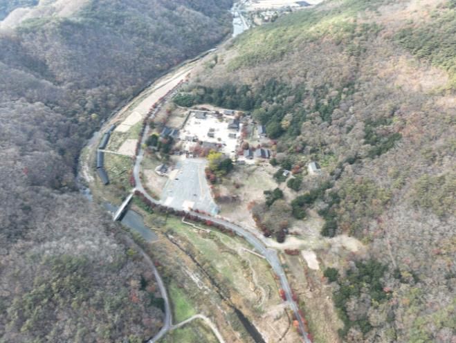 보림사 비자림 일원 사진