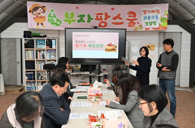 충북농기원, 딸기 무병묘 생산 체계 가동