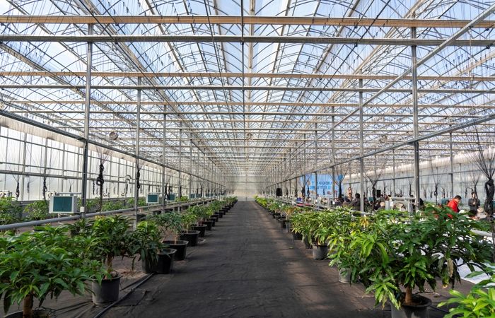 영천 아열대 스마트팜단지, 미래농업 거점으로 본격 가동