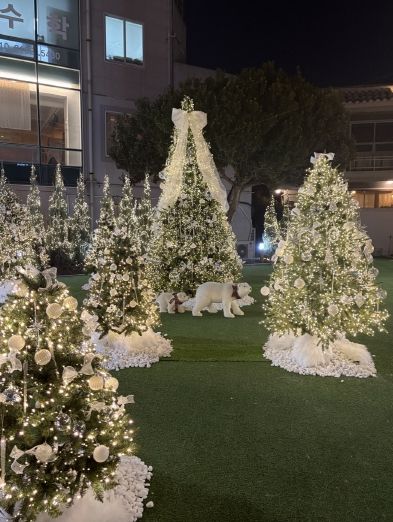 여행자의집, 크리스마스트리 점등