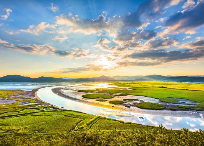 용산전망대에서 바라본 순천만습지