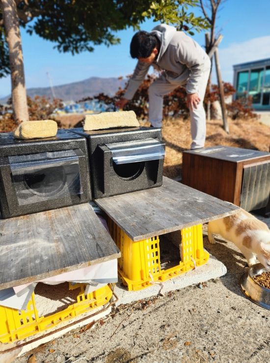통영 고양이섬 용호도,‘고양이 겨울집’설치
