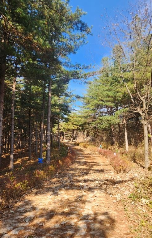 북면 범바위 산책길