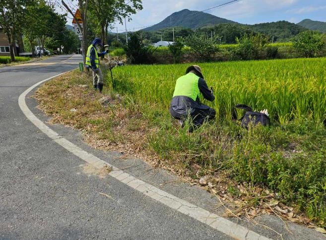 사업지구 현장 말목 설치 사진