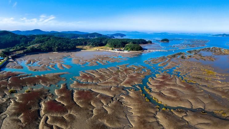 가로림만의 갯벌