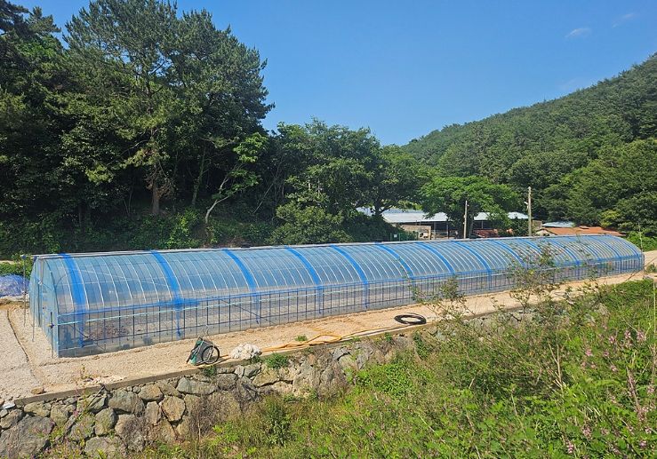 여수시는 대표 특산물인 돌산갓의 품질 향상과 명품화를 위해 재배 현장의 의견과 수요를 반영한 돌산갓 생산기반 강화 지원사업을 추진한다.