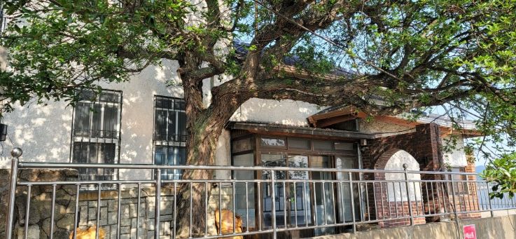 목포 금화동 3-8번지 가옥