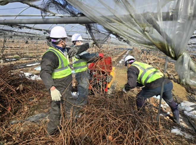 담양군, 영농부산물 파쇄 지원으로 자원순환 농법 실천