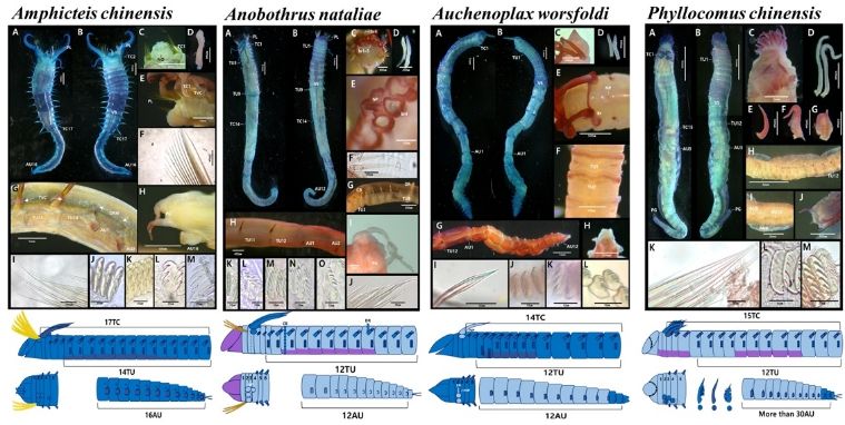 해양생명자원연구실