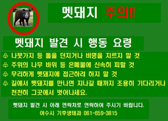 멧돼지 발견 시 반드시 숙지해야 할 행동 요령