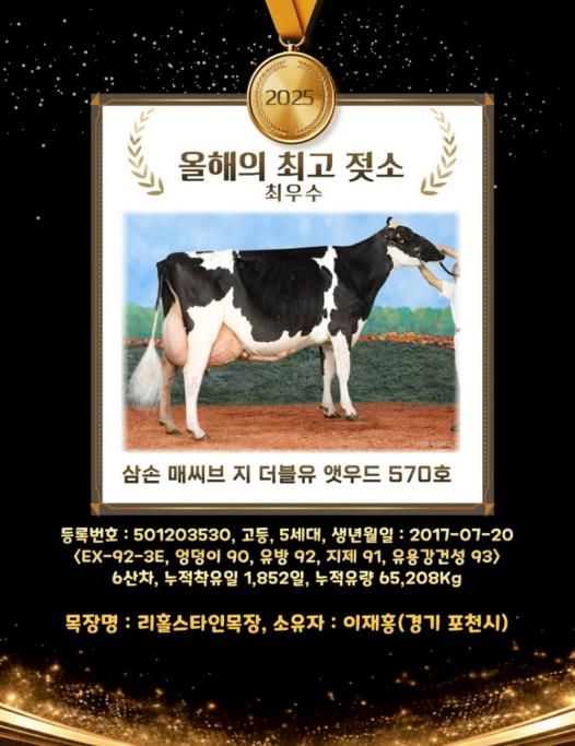 포천시 낙농농가, 2025년 ‘올해의 최고 젖소’ 배출