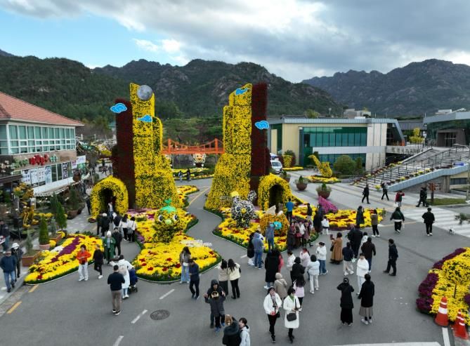 2025 국화축제