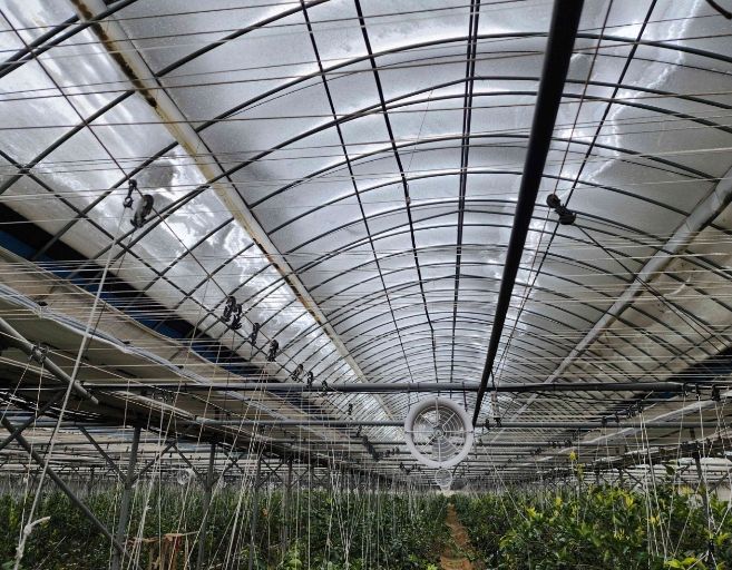 영광군, 대설·한파 시설원예작물 현장기술지원