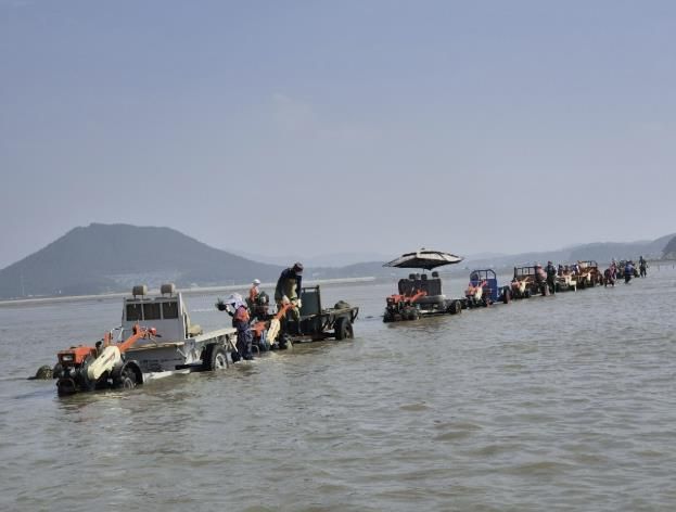 자율관리어업육성 사업 중 바지락 종패를 살포하는 모습.