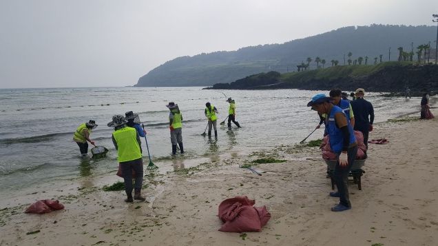 제주시,‘바다환경지킴이’178명 채용