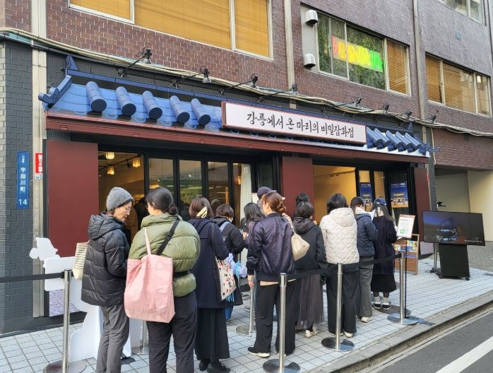 강릉시, 일본 시부야 팝업스토어 성