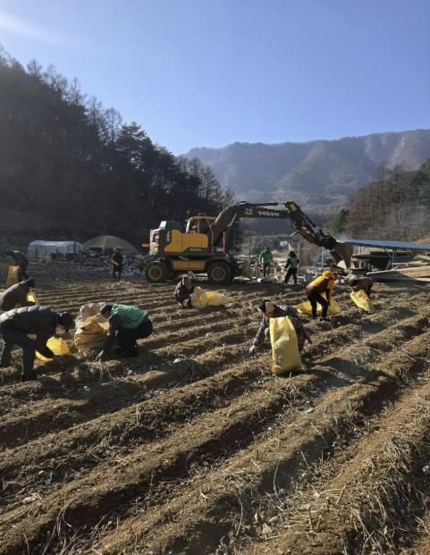 화재 폐기물 수거 봉사활동