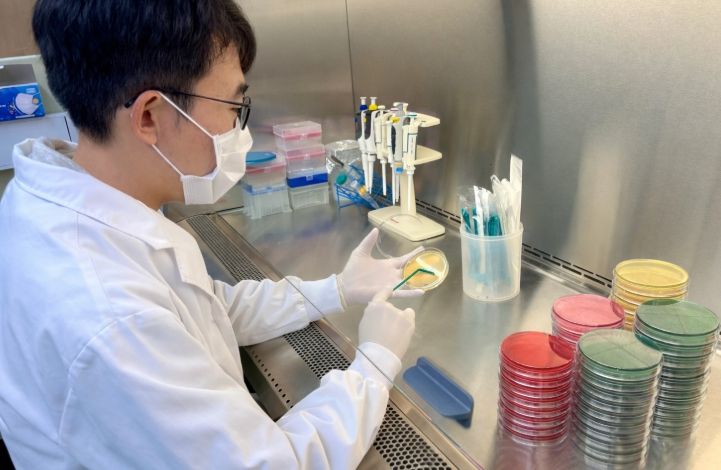 설 다소비식품 안전성 검사