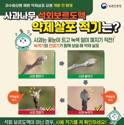 광양시, 과수화상병 발생 예방 사전방제 실시