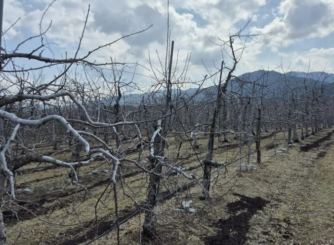 봉화군, 2026년 가업승계 우수농업인 정착지원 도 공모사업 선정