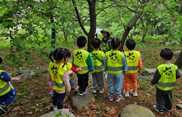 용인특례시가 상반기 유아숲체험과 찾아가는 숲해설 참여기관을 모집한다.