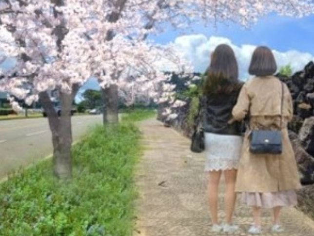 김녕남2길 조성 예시(조감도)