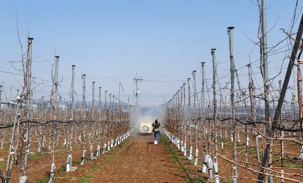 약제 방제하는 모습