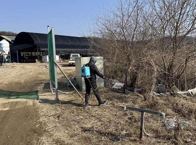 파주시, 축사 주변 해빙기 방역사업 추진