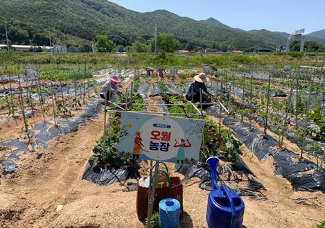 2024년 상동면 대감마을 리틀 포레스트 팜