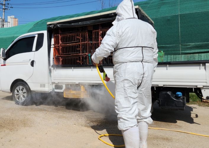 계류장 가축 운송 차량 소독