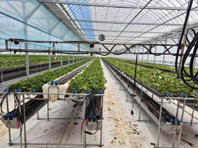 친환경농업육성기금 사진-하우스 운영자금