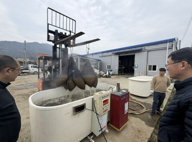 볍씨 종자 10kg 단위 10포대를 온탕소독기에 담가 소독하고 있다.