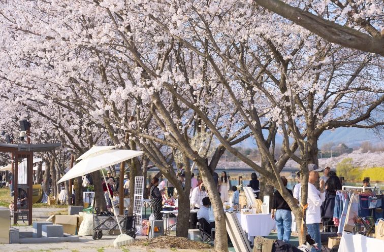 2026 구례300리 벚꽃축제 성황리에 마무리