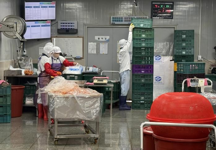 식품 제조기업 포장 사진