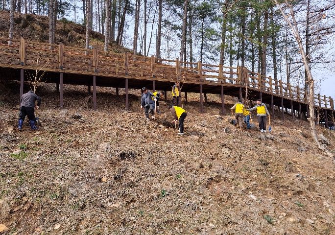 평창군시설관리공단, 제81회 식목일 기념나무심기 행사