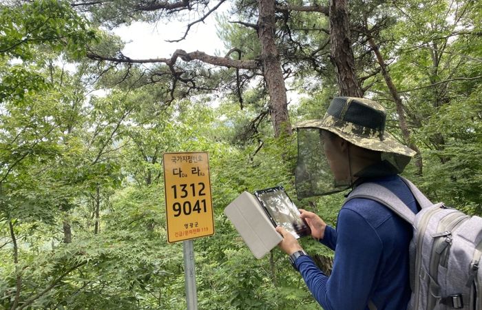 국가지점번호 사진