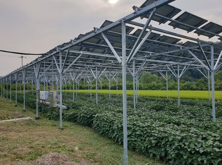 파평면 덕천리 스마트팜 영농형태양광 시설